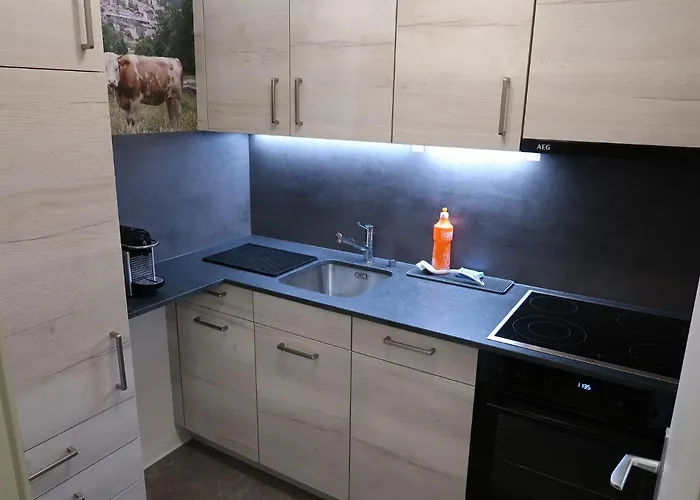 Ringstrasse 213 By Interhome شقة